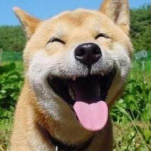 天灬灬啊灬快灬高潮了
